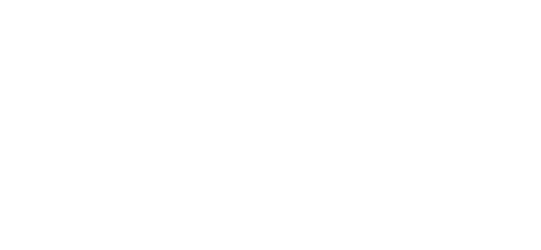 About Tree of life 2 ‒ 一貫流通体制