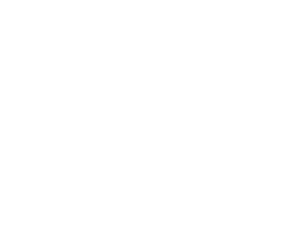 販売本部 専門店DIVISION